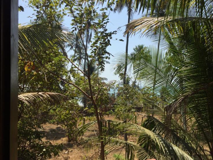 Sunshine Service Villa Kannur Luaran gambar
