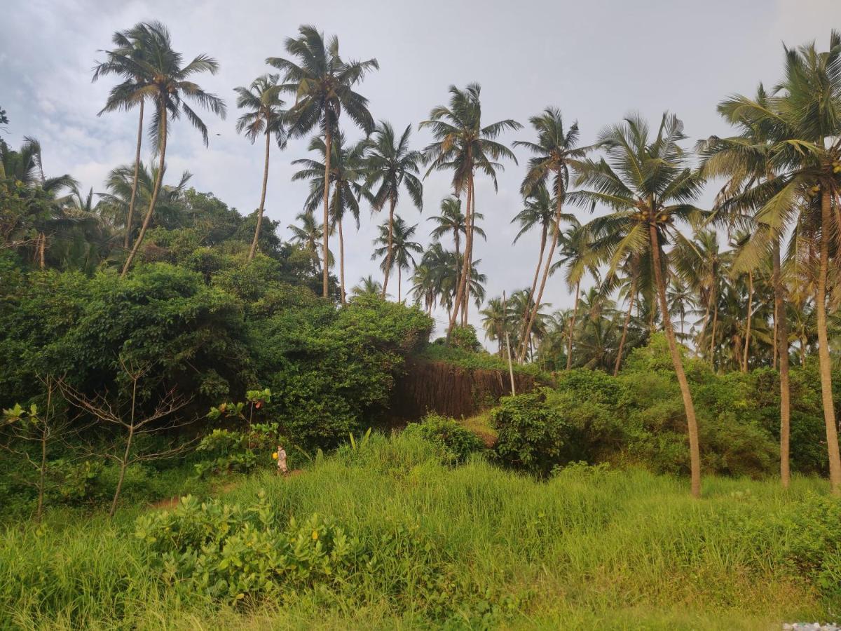 Sunshine Service Villa Kannur Luaran gambar